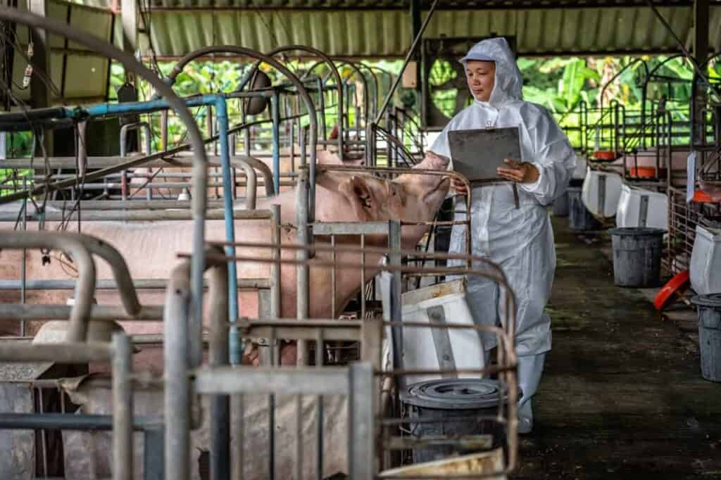 SEO voor Boerderijen