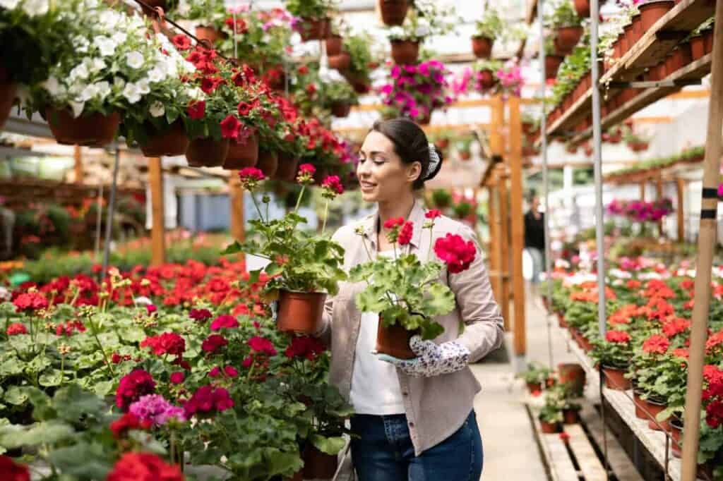 SEO voor Tuincentra